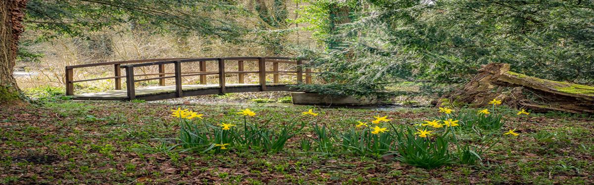 Garden of England Group Tour