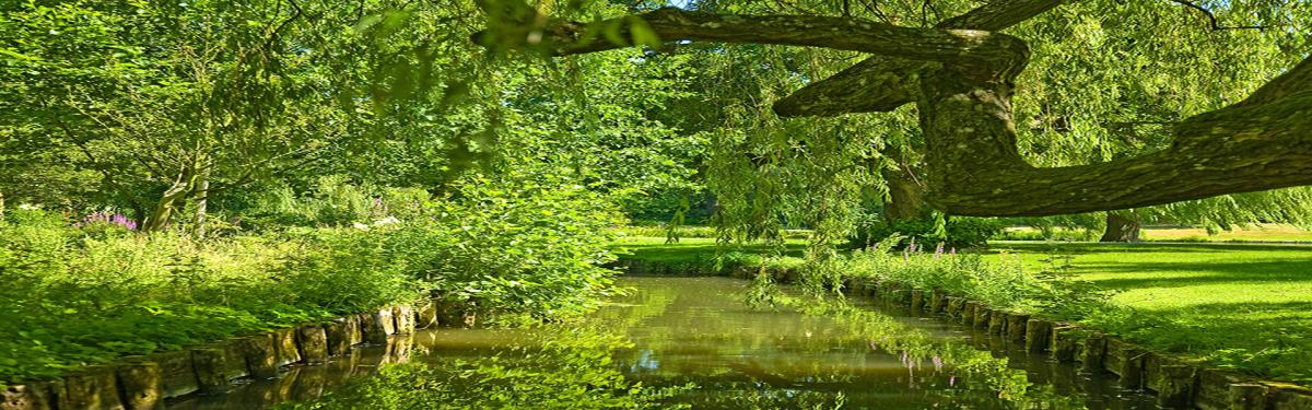 Gardens and Castles of Kent Group Tour