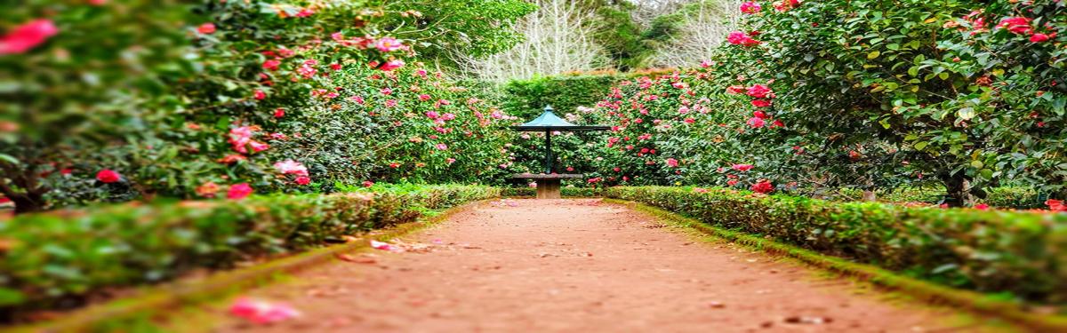 Private Gardens Group Tour