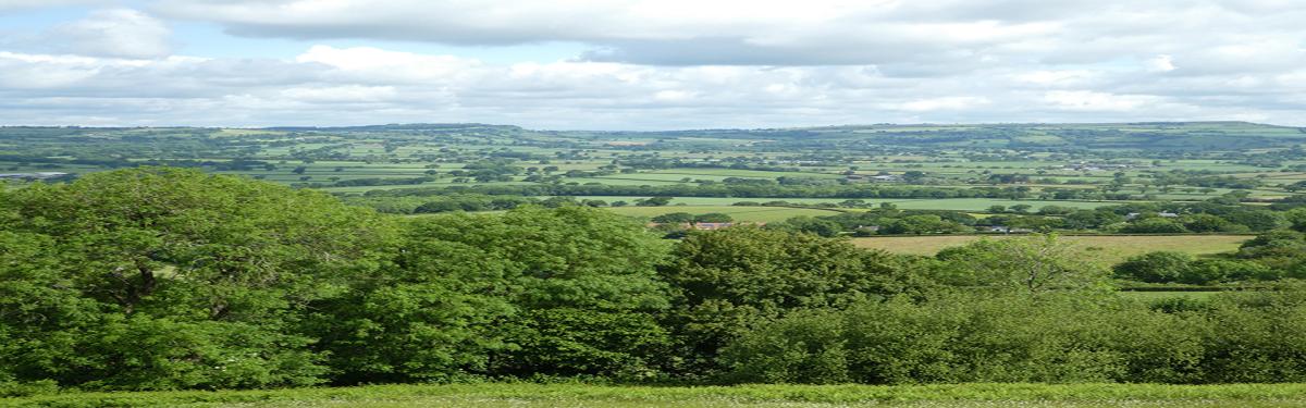 Thomas Hardy Group Tour