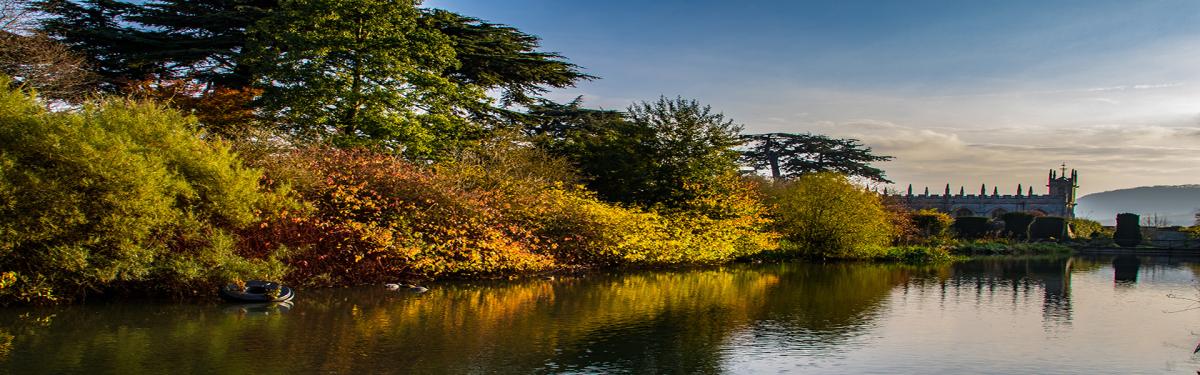 Gardens of the Cotswolds Group Tour