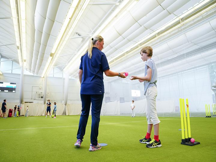 Cricket