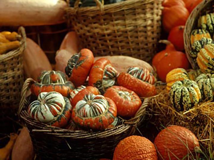 Halloween pumpkins