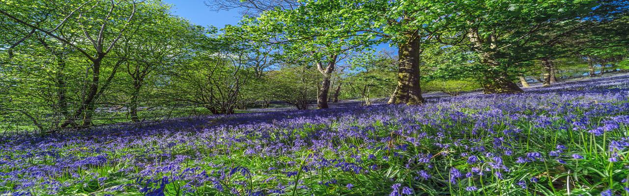 Tours with all the Easter feels: colour, tradition and spring adventure