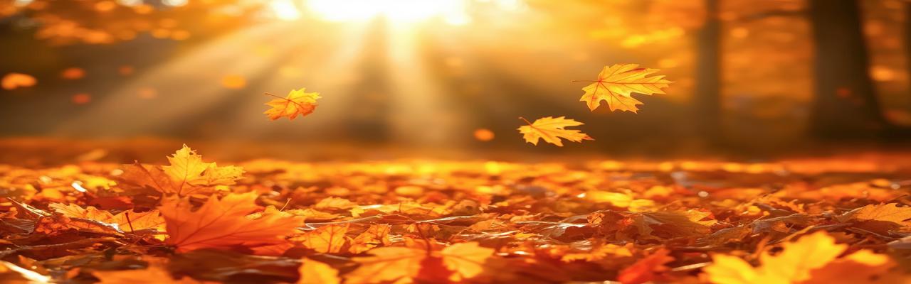 Icons of Autumn: Group Travel in the Fall