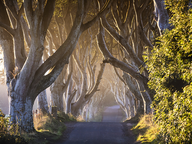 Game of Thrones Studio & Locations Group Tour