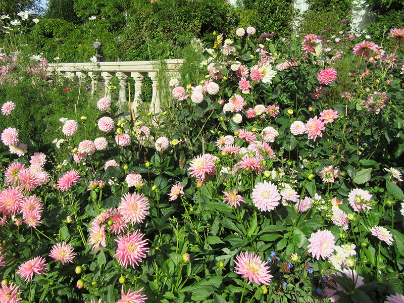 Garden of England & Chelsea Flower Show Group Tour