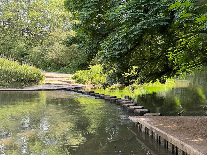The Pilgrims' Way